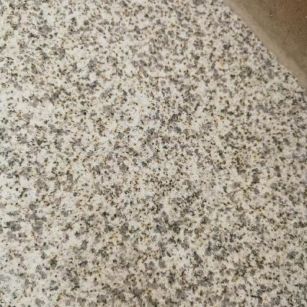 宿州 黄金麻中黄光面