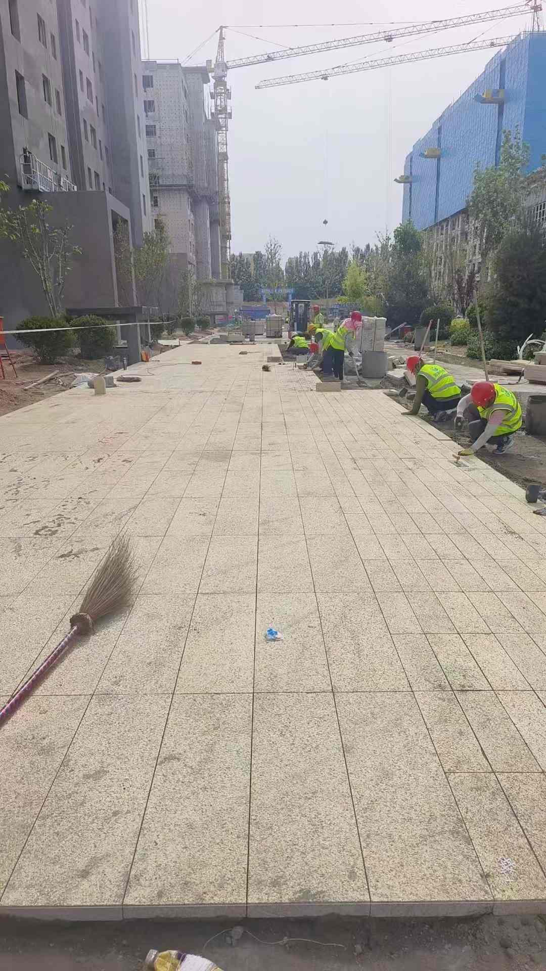 宿州黄金麻荔枝面地铺案例