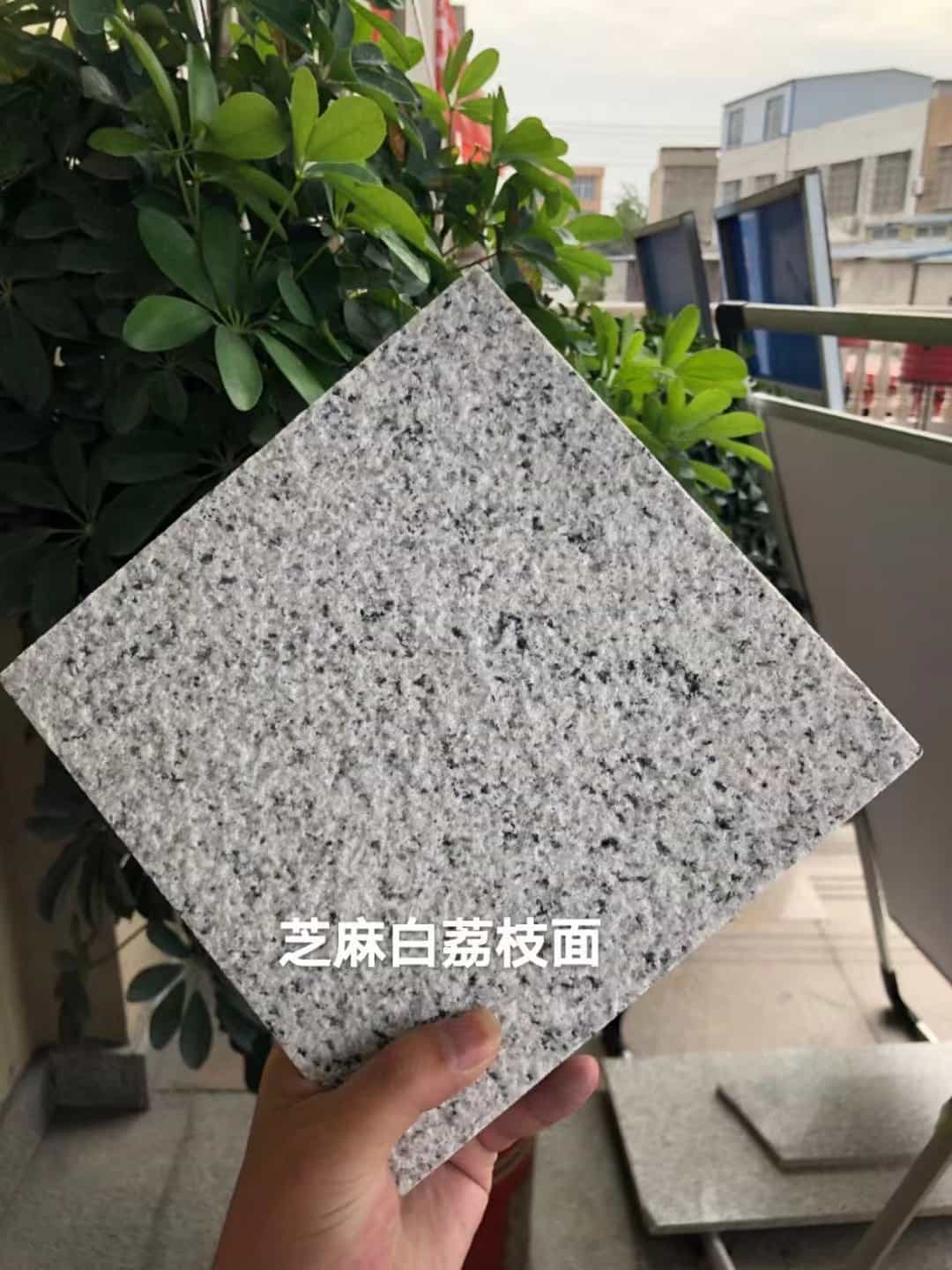 宿州 芝麻白荔枝面干挂