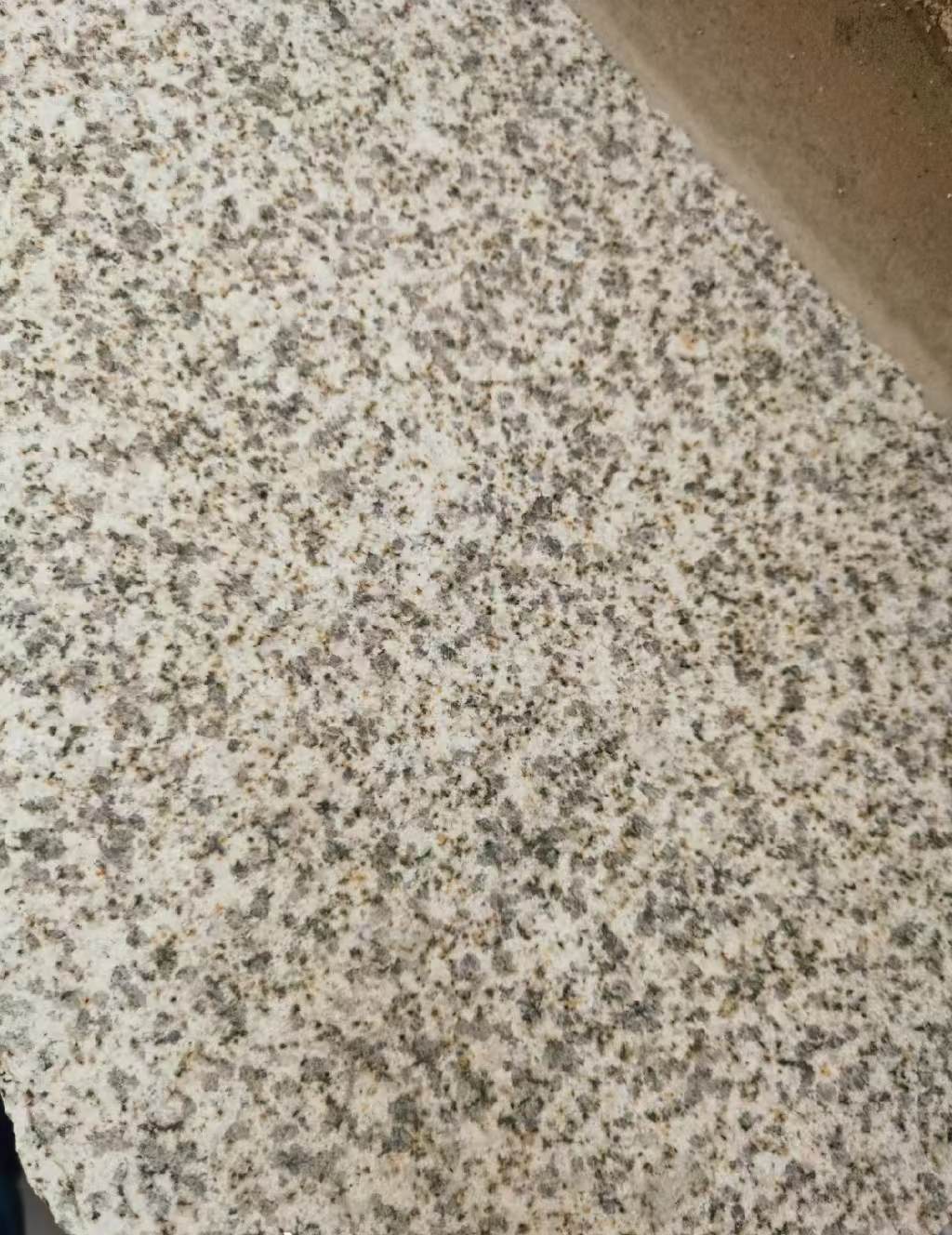 宿州 黄金麻中黄光面